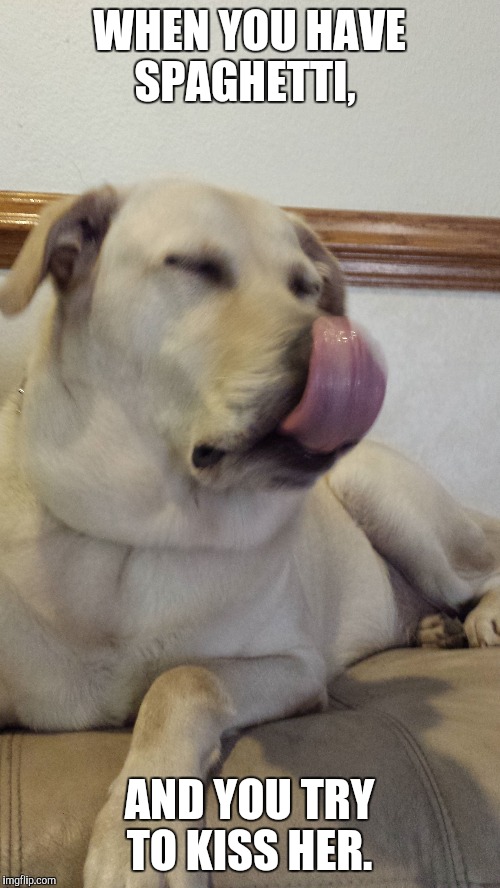 You tried doug.  | WHEN YOU HAVE SPAGHETTI, AND YOU TRY TO KISS HER. | image tagged in pets | made w/ Imgflip meme maker