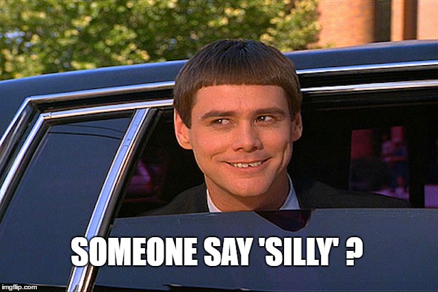 SOMEONE SAY 'SILLY' ? | made w/ Imgflip meme maker