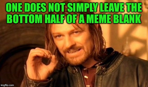 One Does Not Simply Meme | ONE DOES NOT SIMPLY LEAVE THE BOTTOM HALF OF A MEME BLANK | image tagged in memes,one does not simply | made w/ Imgflip meme maker