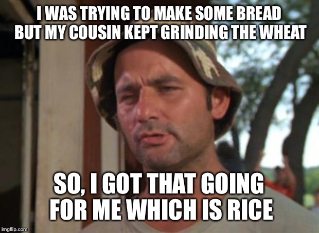 So I Got That Goin For Me Which Is Nice | I WAS TRYING TO MAKE SOME BREAD BUT MY COUSIN KEPT GRINDING THE WHEAT; SO, I GOT THAT GOING FOR ME WHICH IS RICE | image tagged in memes,so i got that goin for me which is nice | made w/ Imgflip meme maker