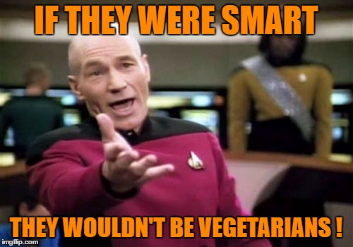 Picard Wtf Meme | IF THEY WERE SMART THEY WOULDN'T BE VEGETARIANS ! | image tagged in memes,picard wtf | made w/ Imgflip meme maker
