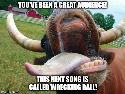 YOU'VE BEEN A GREAT AUDIENCE! THIS NEXT SONG IS CALLED WRECKING BALL! | image tagged in cow tongue | made w/ Imgflip meme maker