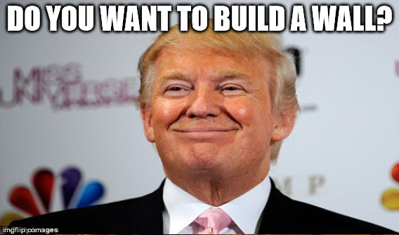 DO YOU WANT TO BUILD A WALL? | made w/ Imgflip meme maker