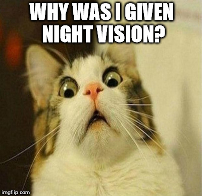 WHY WAS I GIVEN NIGHT VISION? | made w/ Imgflip meme maker