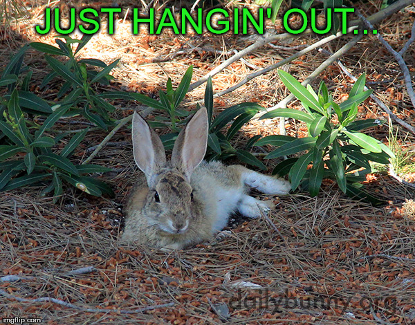 Hangin | JUST HANGIN' OUT... | image tagged in memes | made w/ Imgflip meme maker