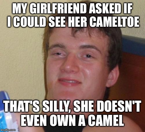 10 Guy | MY GIRLFRIEND ASKED IF I COULD SEE HER CAMELTOE; THAT'S SILLY, SHE DOESN'T EVEN OWN A CAMEL | image tagged in memes,10 guy | made w/ Imgflip meme maker