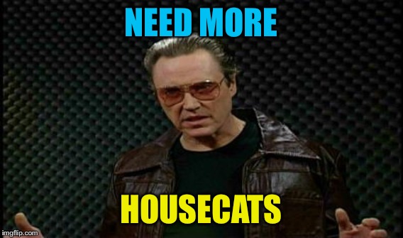 NEED MORE HOUSECATS | made w/ Imgflip meme maker