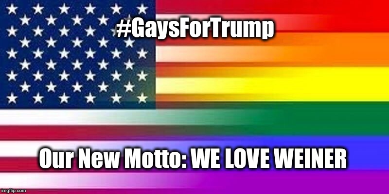 #GaysForTrump; Our New Motto: WE LOVE WEINER | image tagged in we love weiner | made w/ Imgflip meme maker