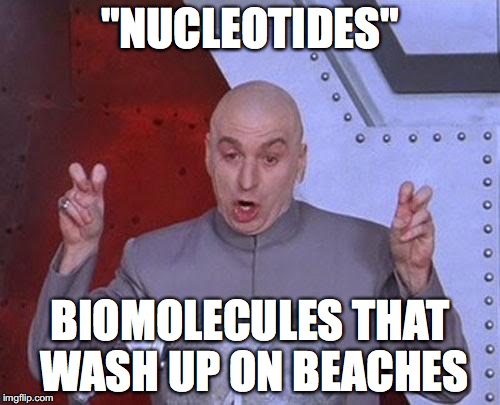 "NUCLEOTIDES"; BIOMOLECULES THAT WASH UP ON BEACHES | image tagged in biology | made w/ Imgflip meme maker
