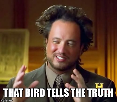 Ancient Aliens Meme | THAT BIRD TELLS THE TRUTH | image tagged in memes,ancient aliens | made w/ Imgflip meme maker