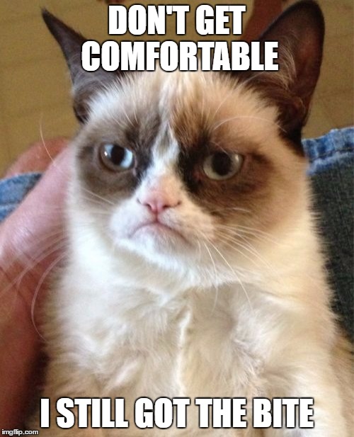 Grumpy Cat Meme | DON'T GET COMFORTABLE I STILL GOT THE BITE | image tagged in memes,grumpy cat | made w/ Imgflip meme maker