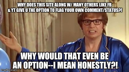 Austin Powers Honestly | WHY DOES THIS SITE ALONG W/ MANY OTHERS LIKE FB & YT GIVE U THE OPTION TO FLAG YOUR OWN COMMENT/STATUS?! WHY WOULD THAT EVEN BE AN OPTION--I MEAN HONESTLY?! | image tagged in memes,austin powers honestly | made w/ Imgflip meme maker