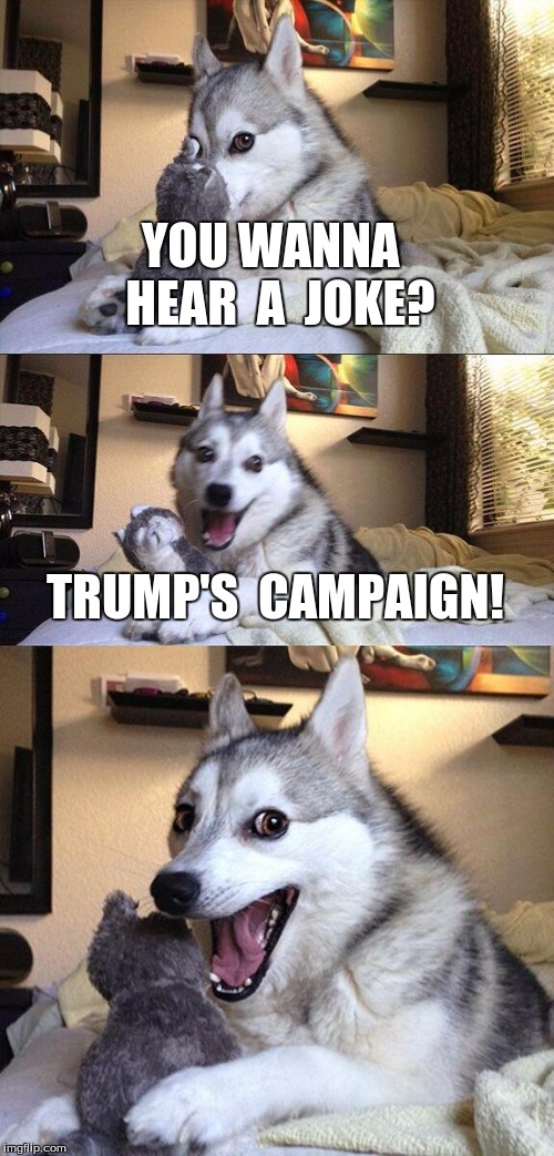 Bad Pun Dog Meme | YOU WANNA  HEAR  A  JOKE? TRUMP'S  CAMPAIGN! | image tagged in memes,bad pun dog | made w/ Imgflip meme maker