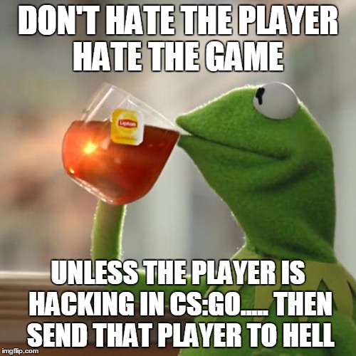 But That's None Of My Business Meme | DON'T HATE THE PLAYER HATE THE GAME; UNLESS THE PLAYER IS HACKING IN CS:GO..... THEN SEND THAT PLAYER TO HELL | image tagged in memes,but thats none of my business,kermit the frog | made w/ Imgflip meme maker