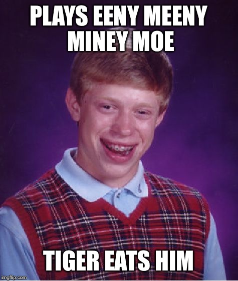 Bad Luck Brian Meme | PLAYS EENY MEENY MINEY MOE TIGER EATS HIM | image tagged in memes,bad luck brian | made w/ Imgflip meme maker