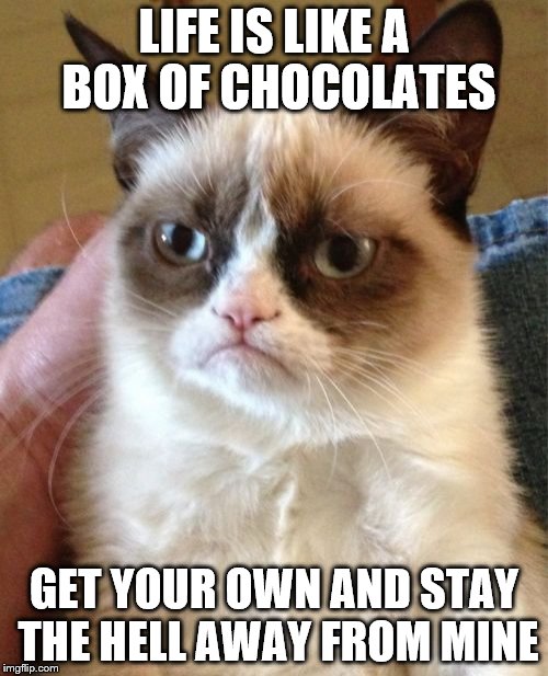 Grumpy Cat | LIFE IS LIKE A BOX OF CHOCOLATES; GET YOUR OWN AND STAY THE HELL AWAY FROM MINE | image tagged in memes,grumpy cat | made w/ Imgflip meme maker