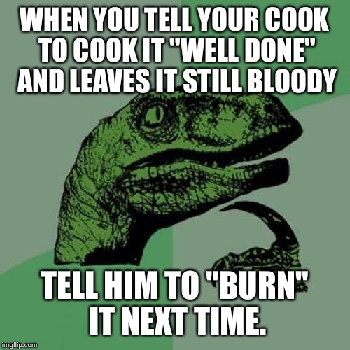 Philosoraptor | WHEN YOU TELL YOUR COOK TO COOK IT "WELL DONE" AND LEAVES IT STILL BLOODY; TELL HIM TO "BURN" IT NEXT TIME. | image tagged in memes,philosoraptor | made w/ Imgflip meme maker