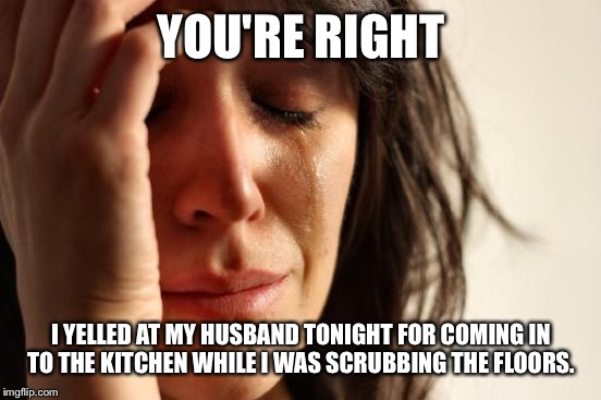 First World Problems Meme | YOU'RE RIGHT I YELLED AT MY HUSBAND TONIGHT FOR COMING IN TO THE KITCHEN WHILE I WAS SCRUBBING THE FLOORS. | image tagged in memes,first world problems | made w/ Imgflip meme maker
