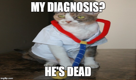 Doctor cat's diagnosis | MY DIAGNOSIS? HE'S DEAD | image tagged in cat,doctorcat | made w/ Imgflip meme maker