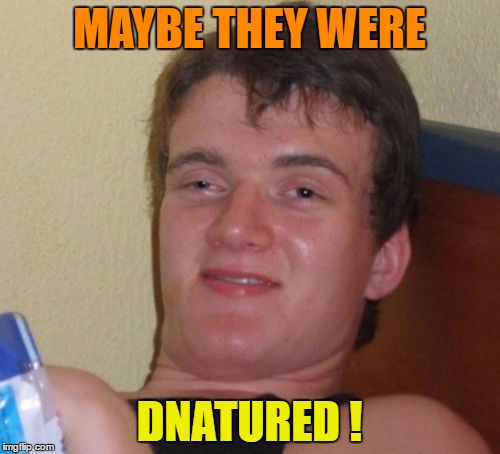 10 Guy Meme | MAYBE THEY WERE DNATURED ! | image tagged in memes,10 guy | made w/ Imgflip meme maker