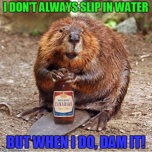 I DON'T ALWAYS SLIP IN WATER BUT WHEN I DO, DAM IT! | made w/ Imgflip meme maker