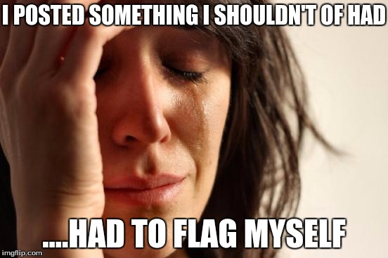 First World Problems Meme | I POSTED SOMETHING I SHOULDN'T OF HAD ....HAD TO FLAG MYSELF | image tagged in memes,first world problems | made w/ Imgflip meme maker