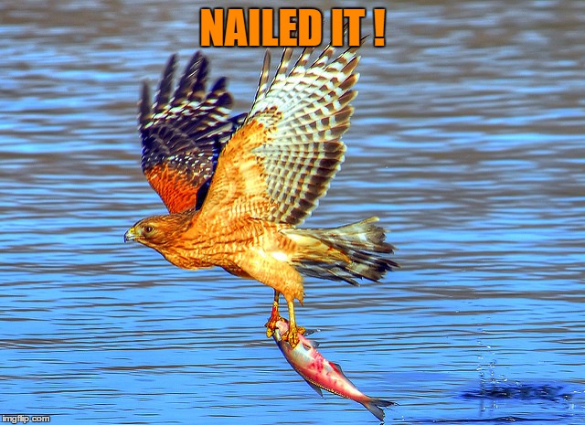 NAILED IT ! | made w/ Imgflip meme maker