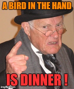Back In My Day Meme | A BIRD IN THE HAND IS DINNER ! | image tagged in memes,back in my day | made w/ Imgflip meme maker