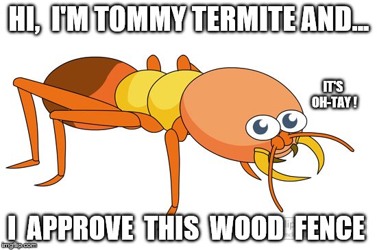 Tommy Termite's 'Wood Fence Seal of Approval' | HI,  I'M TOMMY TERMITE AND... IT'S OH-TAY ! I  APPROVE  THIS  WOOD  FENCE | image tagged in memes,funny,termite,fence aka border wall,fence,wood | made w/ Imgflip meme maker