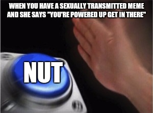 Blank Nut Button Meme | WHEN YOU HAVE A SEXUALLY TRANSMITTED MEME AND SHE SAYS "YOU'RE POWERED UP GET IN THERE"; NUT | image tagged in blank nut button | made w/ Imgflip meme maker