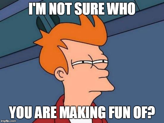 Futurama Fry Meme | I'M NOT SURE WHO YOU ARE MAKING FUN OF? | image tagged in memes,futurama fry | made w/ Imgflip meme maker