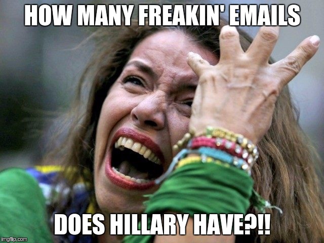 Hysterical Holly | HOW MANY FREAKIN' EMAILS; DOES HILLARY HAVE?!! | image tagged in hysterical holly | made w/ Imgflip meme maker