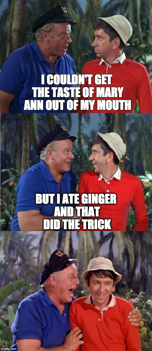 Gilligan Bad Pun | I COULDN'T GET THE TASTE OF MARY ANN OUT OF MY MOUTH; BUT I ATE GINGER AND THAT DID THE TRICK | image tagged in gilligan bad pun | made w/ Imgflip meme maker