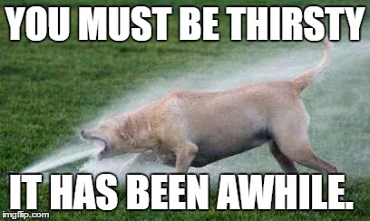 Thirsty Dog | YOU MUST BE THIRSTY; IT HAS BEEN AWHILE. | image tagged in thirsty dog | made w/ Imgflip meme maker