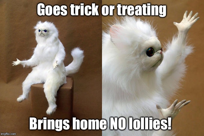 Persian Cat Room Guardian | Goes trick or treating; Brings home NO lollies! | image tagged in memes,persian cat room guardian | made w/ Imgflip meme maker