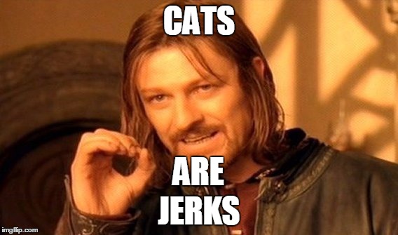 One Does Not Simply Meme | CATS JERKS ARE | image tagged in memes,one does not simply | made w/ Imgflip meme maker