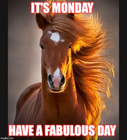 Horse | IT'S MONDAY; HAVE A FABULOUS DAY | image tagged in horse | made w/ Imgflip meme maker