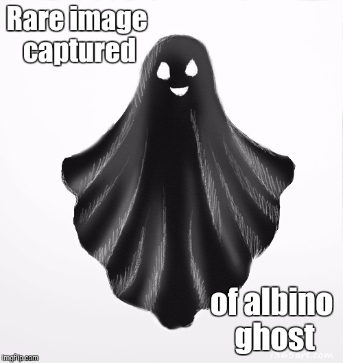 Rare image captured; of albino ghost | image tagged in albino ghost | made w/ Imgflip meme maker