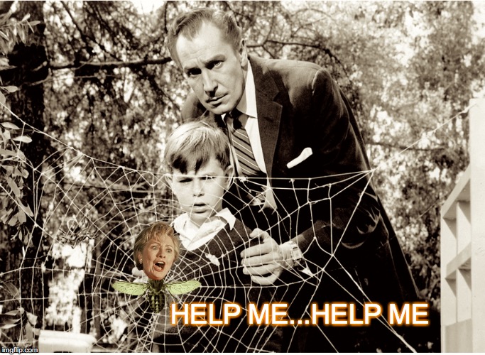Web Justice | HELP ME...HELP ME | image tagged in hillary clinton 2016,fly | made w/ Imgflip meme maker