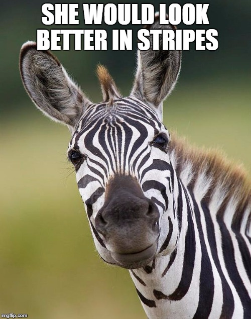 SHE WOULD LOOK BETTER IN STRIPES | made w/ Imgflip meme maker