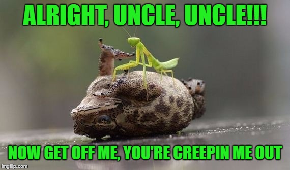 You Win | ALRIGHT, UNCLE, UNCLE!!! NOW GET OFF ME, YOU'RE CREEPIN ME OUT | image tagged in memes,toad,praying mantis,cry uncle,you win | made w/ Imgflip meme maker