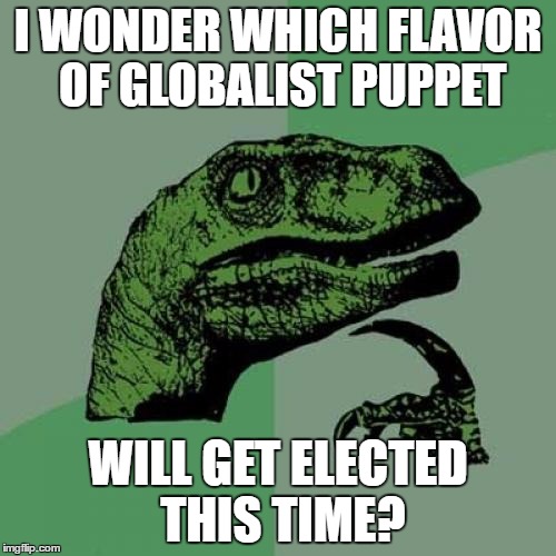 Philosoraptor Meme | I WONDER WHICH FLAVOR OF GLOBALIST PUPPET; WILL GET ELECTED THIS TIME? | image tagged in memes,philosoraptor | made w/ Imgflip meme maker