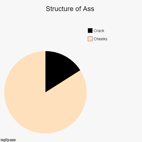 image tagged in funny,pie charts | made w/ Imgflip chart maker