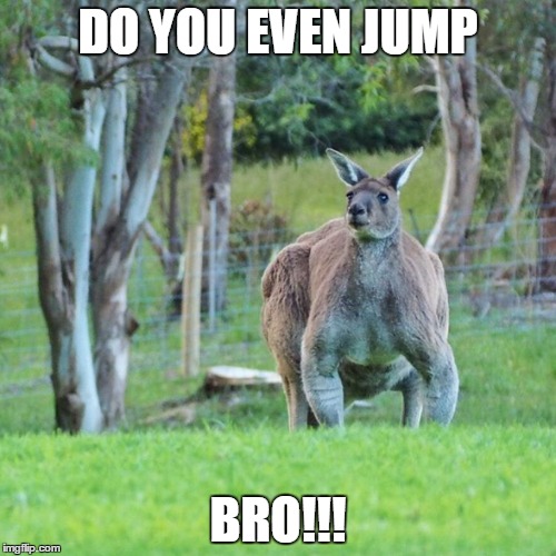 DO YOU EVEN JUMP; BRO!!! | made w/ Imgflip meme maker