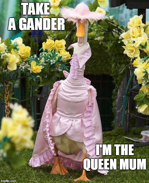 TAKE A GANDER I'M THE QUEEN MUM | made w/ Imgflip meme maker