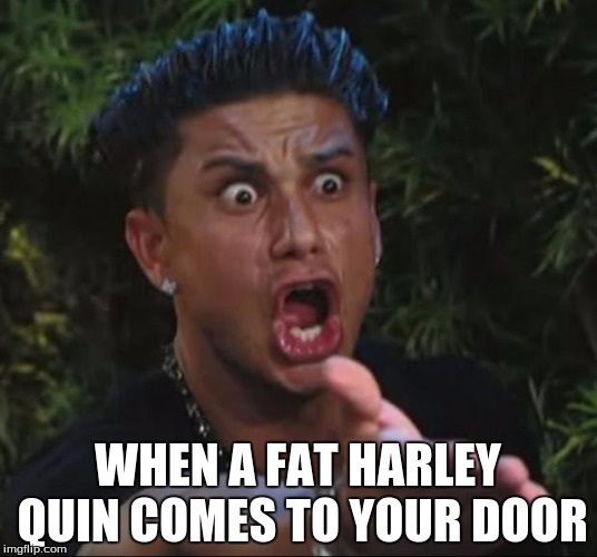 DJ Pauly D | WHEN A FAT HARLEY QUIN COMES TO YOUR DOOR | image tagged in memes,dj pauly d | made w/ Imgflip meme maker