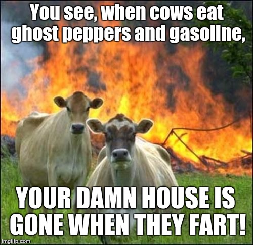 Evil Cows Meme | You see, when cows eat ghost peppers and gasoline, YOUR DAMN HOUSE IS GONE WHEN THEY FART! | image tagged in memes,evil cows | made w/ Imgflip meme maker
