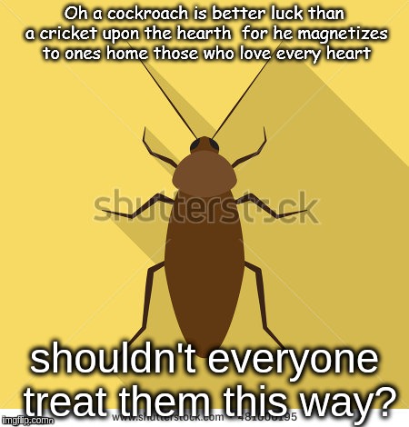 Cockroach Rights | shouldn't everyone treat them this way? | image tagged in cockroach rights | made w/ Imgflip meme maker