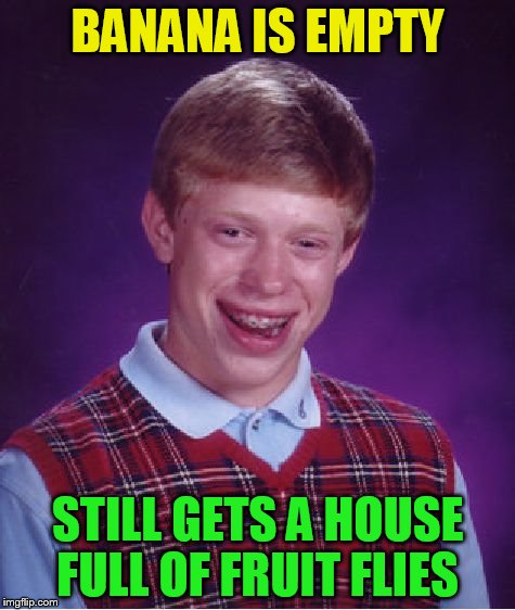 Bad Luck Brian Meme | BANANA IS EMPTY STILL GETS A HOUSE FULL OF FRUIT FLIES | image tagged in memes,bad luck brian | made w/ Imgflip meme maker