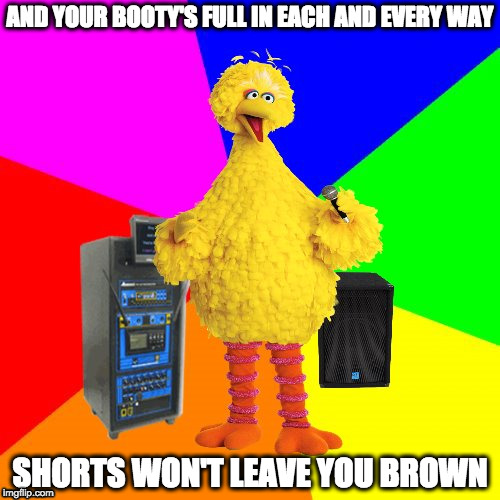 Wrong lyrics karaoke big bird | AND YOUR BOOTY'S FULL IN EACH AND EVERY WAY; SHORTS WON'T LEAVE YOU BROWN | image tagged in wrong lyrics karaoke big bird,christina aguilera,beautiful | made w/ Imgflip meme maker